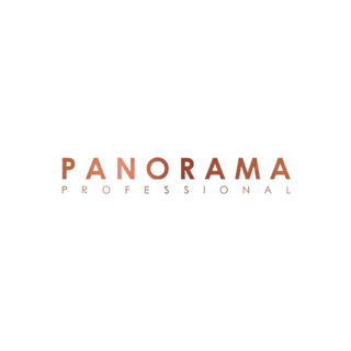 Panorama professional